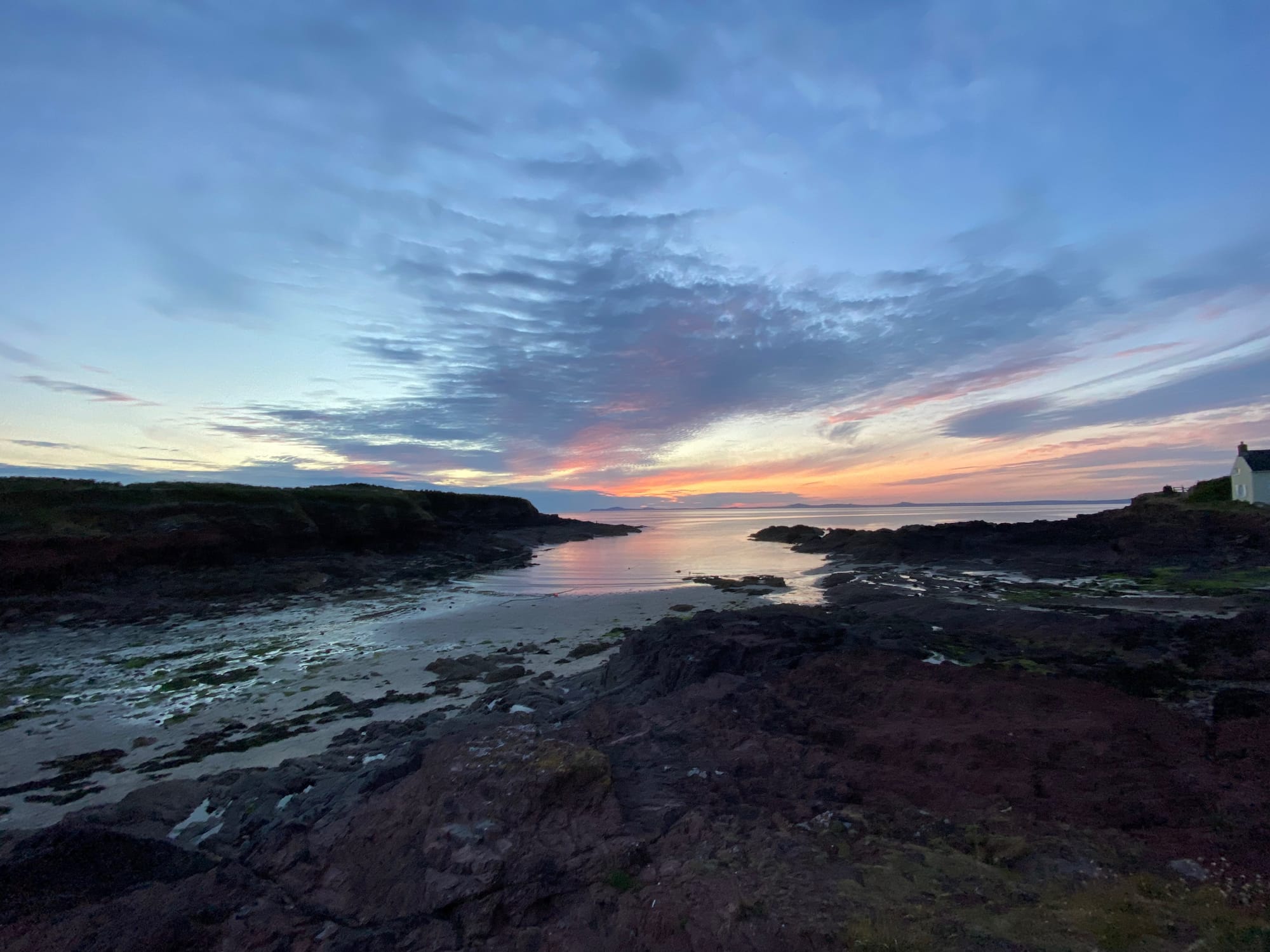 The Coastal Cat Basket